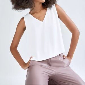 Aritzia Babaton Murphy blouse